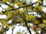 P1000065.JPG