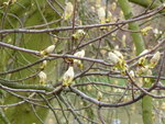 P1000101.JPG
