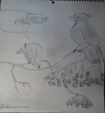 Seidenschwanz.webp