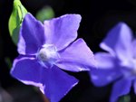 image002.jpg