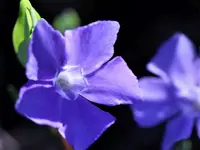 image002.jpg