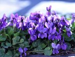 image005.jpg
