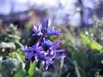 image010.jpg