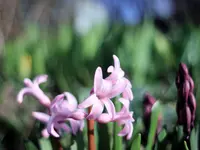 image011.jpg