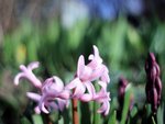 image011.jpg