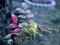 image014.jpg