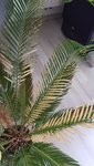 20200229_124833.jpg
