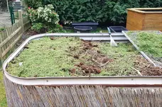 20200319_171427.webp 20200319_171427.webp