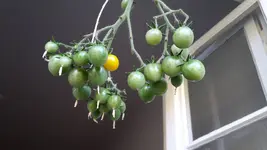 20181012_095906.webp