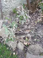 20200320_122734.webp
