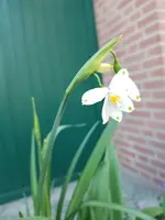 20200321_165317.webp 20200321_165317.webp