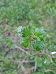 20200321_165507.jpg