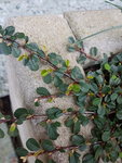 20200321_165341.jpg