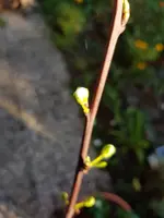 20200321_165100.jpg