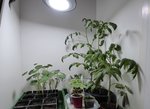 P1000105.JPG