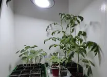 P1000105.webp