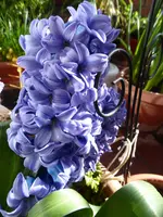 P1000106.webp