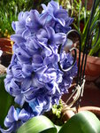 P1000106.JPG