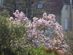 P1000113.JPG