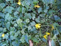 DSC05802.webp