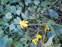 DSC05803.webp