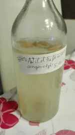 Wildhefewasser.jpg