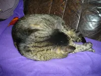 IMGP8741.webp