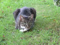 IMG_2369 v (2).webp