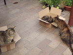 DSCF2613.JPG