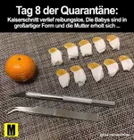 FB_IMG_1585001382194.webp