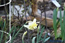 comp_DSC08756.webp