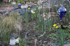 comp_DSC08757.webp