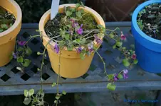 comp_DSC08758.webp