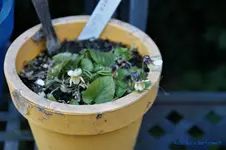 comp_DSC08759.webp