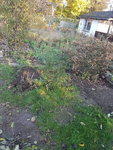 20191110_152644.jpg