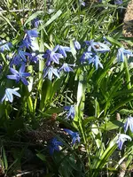 IMG-20200324-WA0006.webp