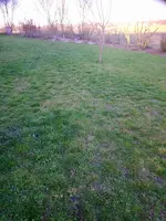 DSC_2145.webp DSC_2145.webp