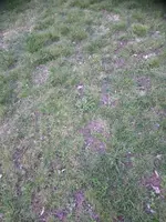 DSC_2146.JPG