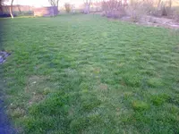 DSC_2148.webp DSC_2148.webp