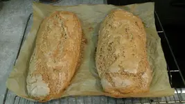Mischbrot.webp