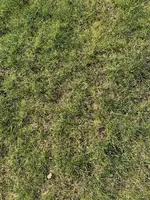 IMG_0084.webp