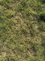 IMG_0086.webp