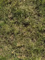 IMG_0089.webp