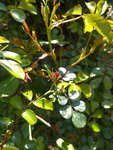 IMG_20200326_095147538.jpg