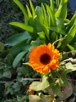 20200326_172210.webp 20200326_172210.webp