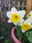 20200326_172152.jpg