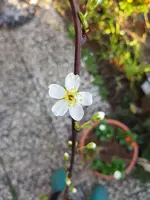 20200326_172139.webp 20200326_172139.webp