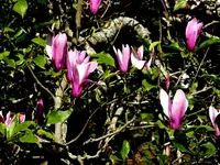 P1020109.webp P1020109.webp