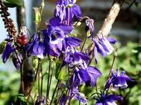 P1020112.webp P1020112.webp