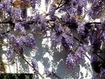 P1020115.JPG